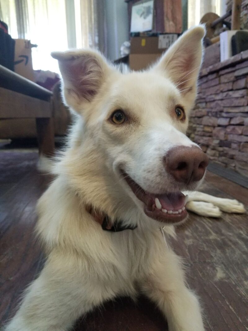 Alaska