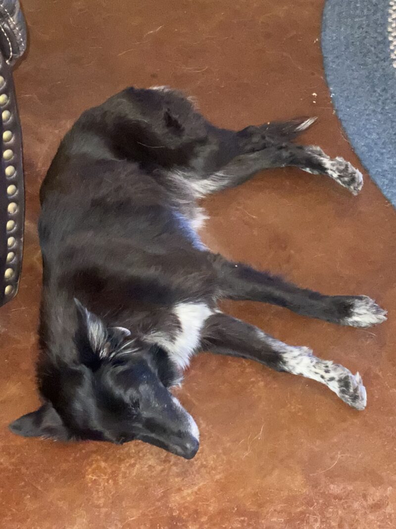 Bettye - Image 6