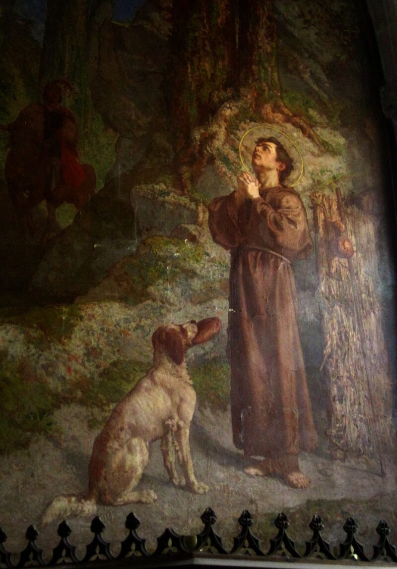 ABOUT – Border Collie Save & Rescue