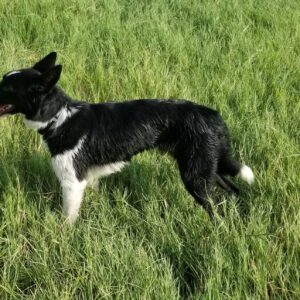 Mindy - Image 5