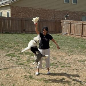 Nibbles - Image 6