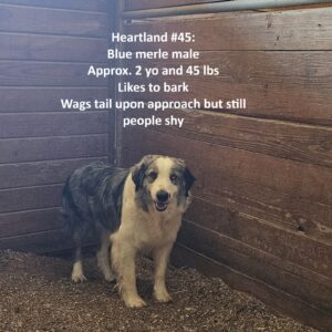 Heartland 45