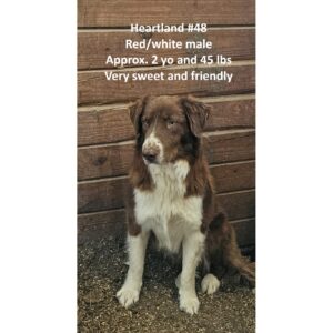 Heartland 48