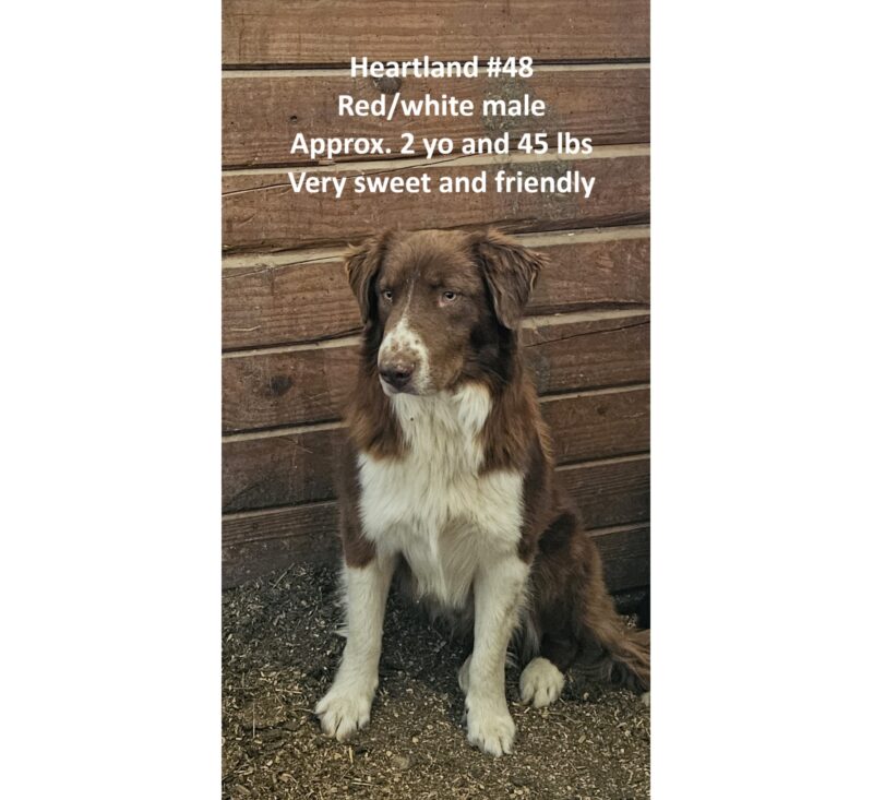 Heartland 48