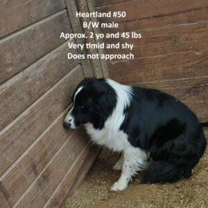 Heartland 50