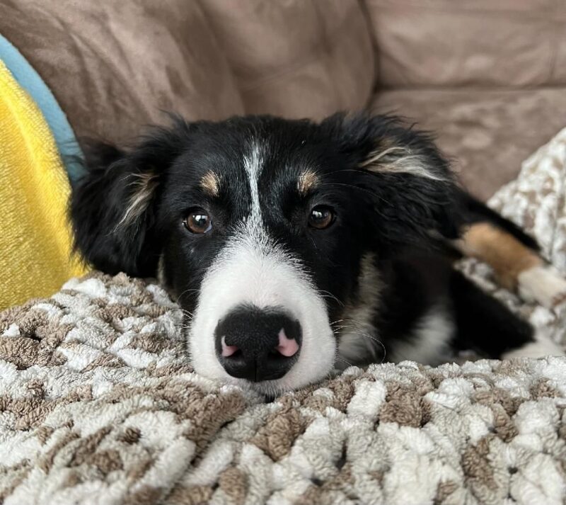Teagan - Image 2